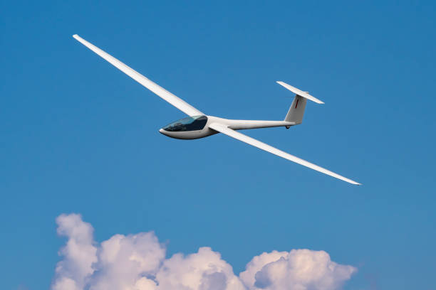 Piloto Planeador